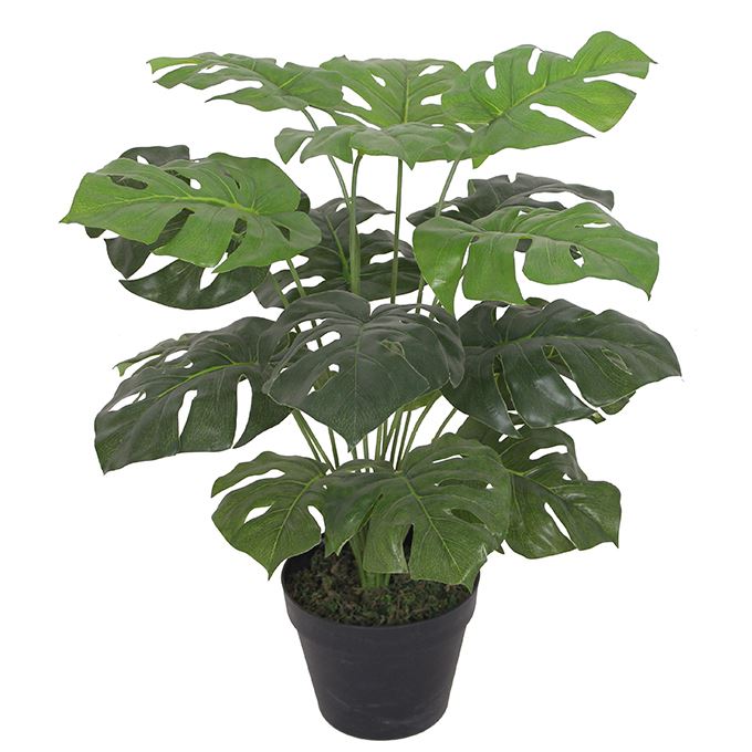 Artificial Monstera Plant 60cm Plants Cheese Plant-0