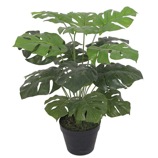 Artificial Monstera Plant 60cm Plants Cheese Plant-0